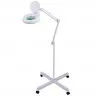 Косметологическая светодиодная лампа-лупа на штативе ММ5-127(LED-D) тип 1 (Л003D)