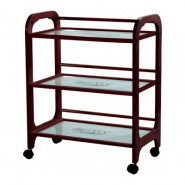 Столик косметолога (тележка) SPA-22