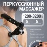 Перкуссионный массажер для тела и лица MYTREX REBIVE EX FIT