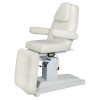 Косметологическое кресло Альфа-06 (Элегия-1) с РУ Росздрав РФ (электрическое, 1 мотор) Косметологическое кресло Альфа-06 (Элегия-1) с РУ Росздрав РФ (электрическое, 1 мотор)